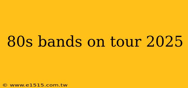 80s bands on tour 2025