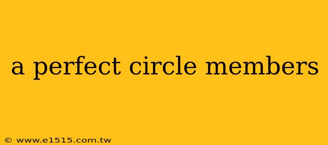 a perfect circle members