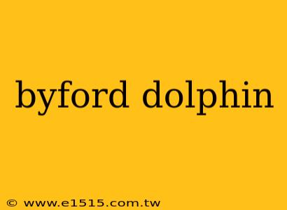 byford dolphin