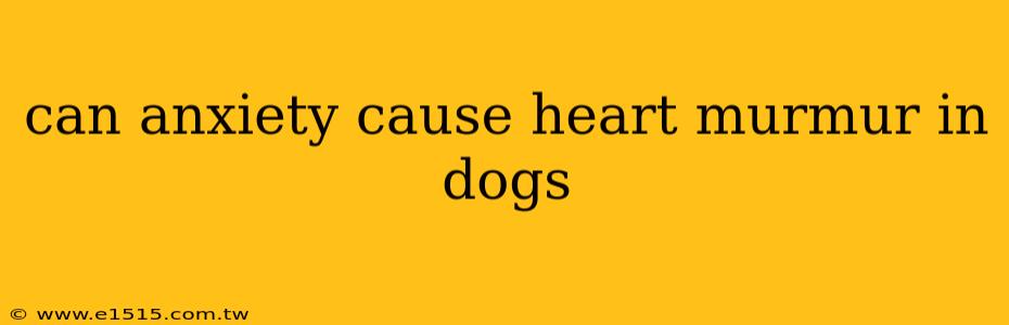 can anxiety cause heart murmur in dogs