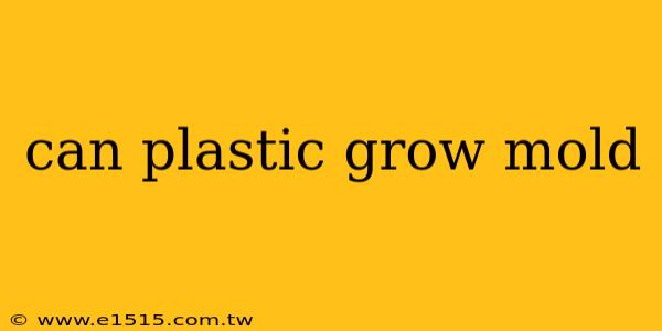 can plastic grow mold