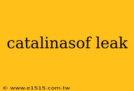 catalinasof leak