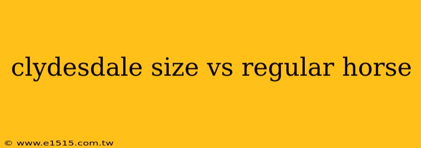 clydesdale size vs regular horse