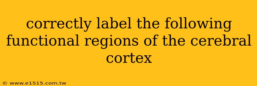 correctly label the following functional regions of the cerebral cortex