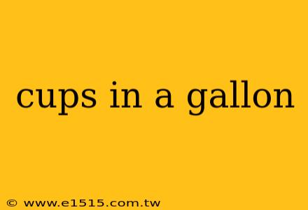 cups in a gallon