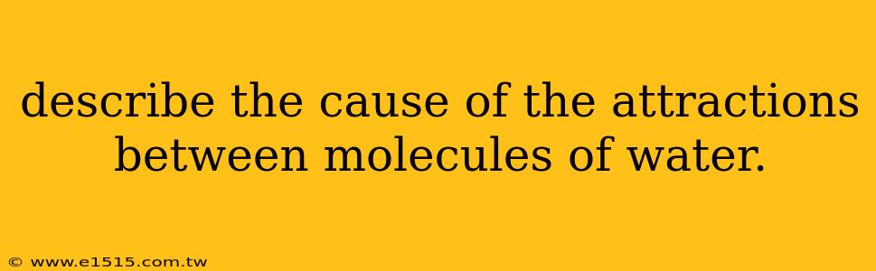 describe the cause of the attractions between molecules of water.