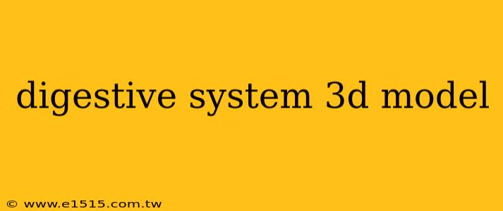 digestive system 3d model