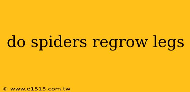 do spiders regrow legs