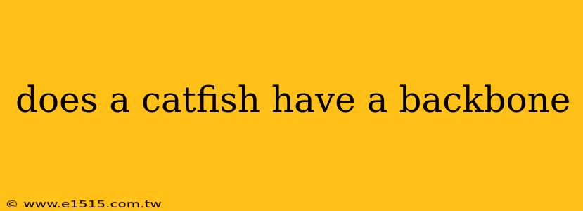 does a catfish have a backbone