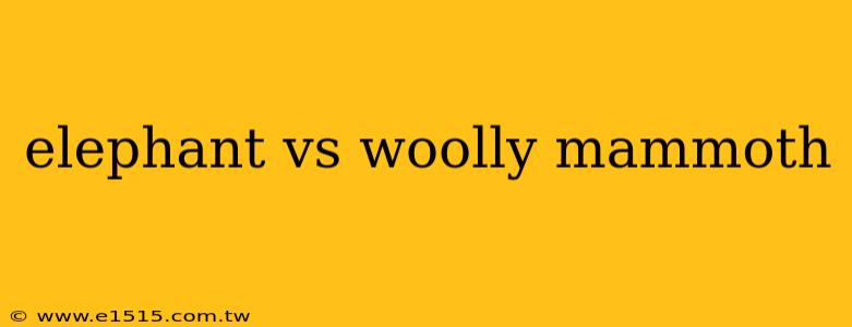 elephant vs woolly mammoth