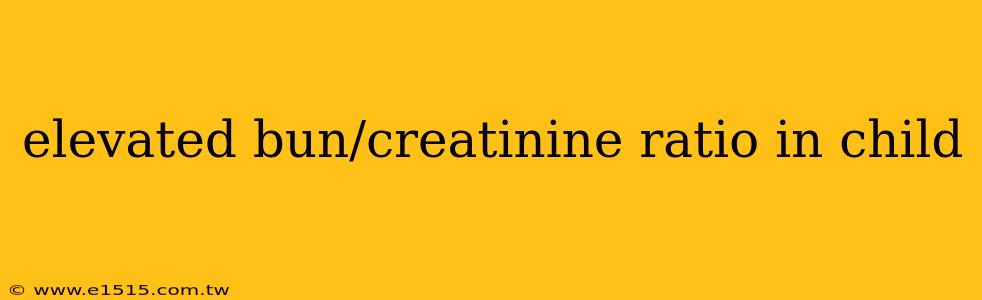 elevated bun/creatinine ratio in child