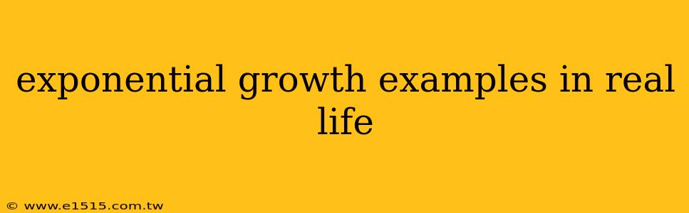 exponential growth examples in real life