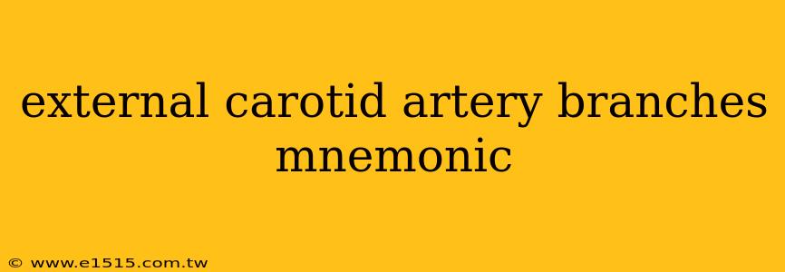 external carotid artery branches mnemonic