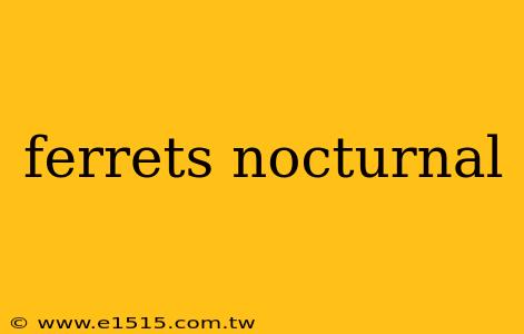 ferrets nocturnal