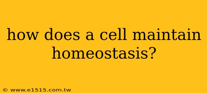 how does a cell maintain homeostasis?