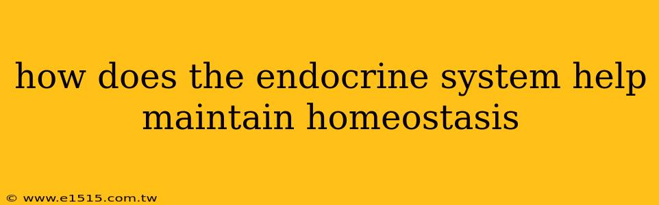how does the endocrine system help maintain homeostasis