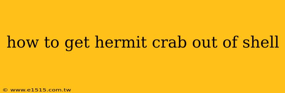 how to get hermit crab out of shell