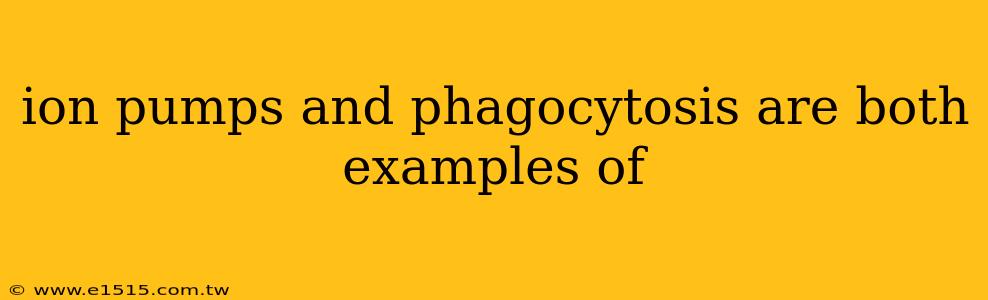 ion pumps and phagocytosis are both examples of