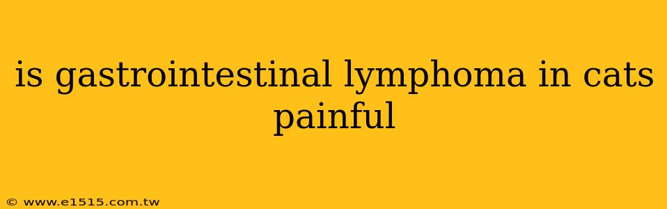is gastrointestinal lymphoma in cats painful
