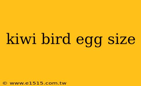 kiwi bird egg size