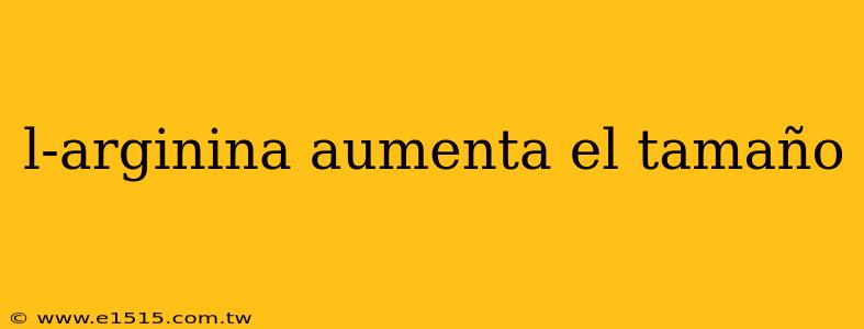 l-arginina aumenta el tamaño