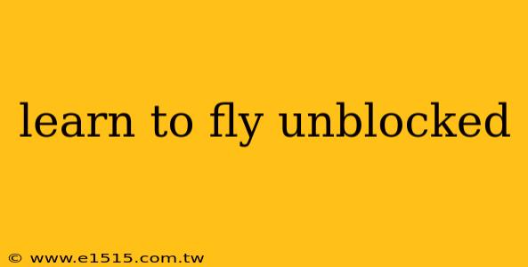 learn to fly unblocked