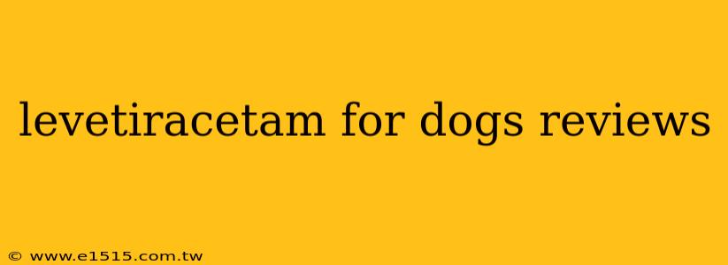 levetiracetam for dogs reviews