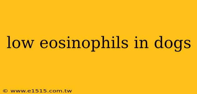 low eosinophils in dogs