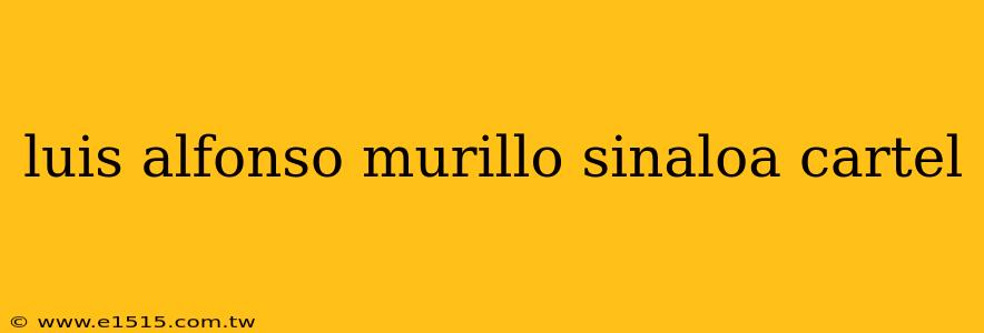 luis alfonso murillo sinaloa cartel