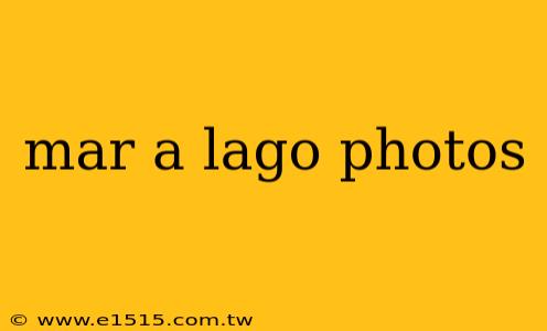 mar a lago photos