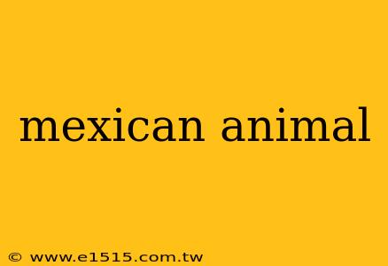 mexican animal