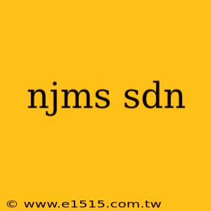 njms sdn