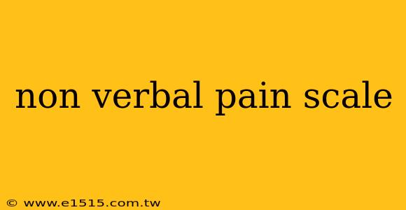 non verbal pain scale