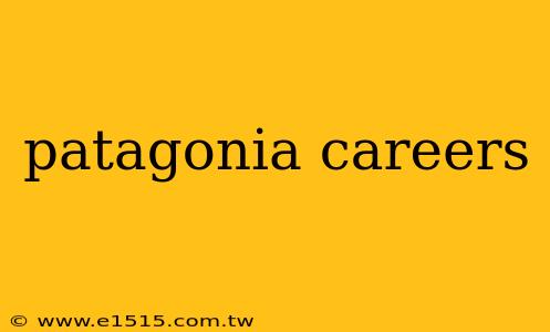 patagonia careers