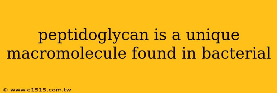 peptidoglycan is a unique macromolecule found in bacterial