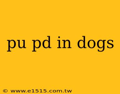 pu pd in dogs