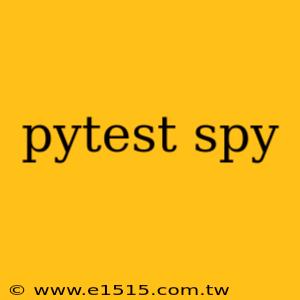 pytest spy