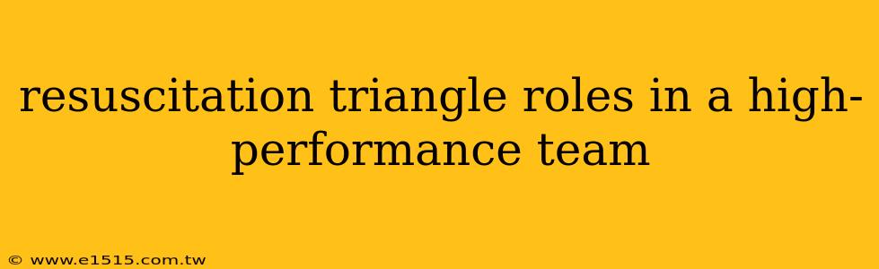 resuscitation triangle roles in a high-performance team