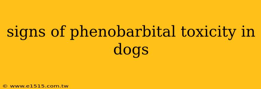 signs of phenobarbital toxicity in dogs