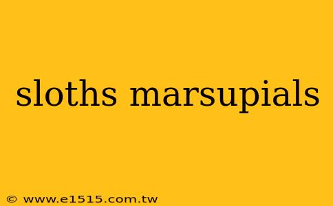 sloths marsupials