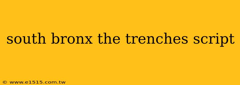 south bronx the trenches script