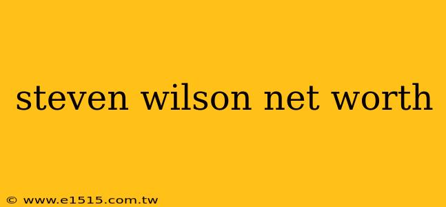 steven wilson net worth