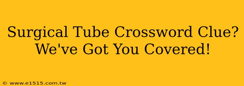 Surgical Tube Crossword Clue? We've Got You Covered!