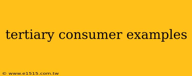 tertiary consumer examples