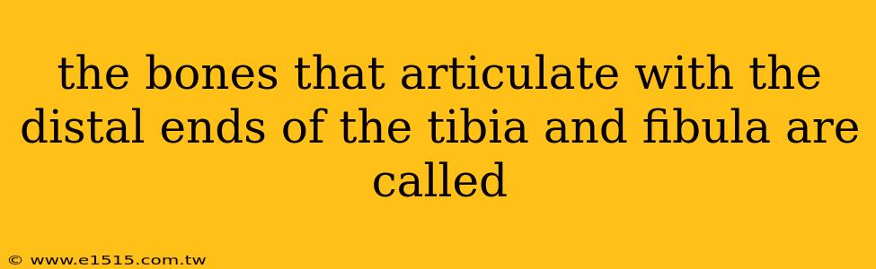 the bones that articulate with the distal ends of the tibia and fibula are called