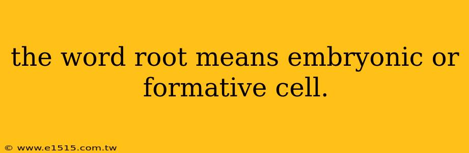 the word root means embryonic or formative cell.