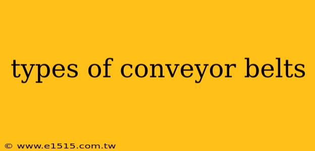 types of conveyor belts