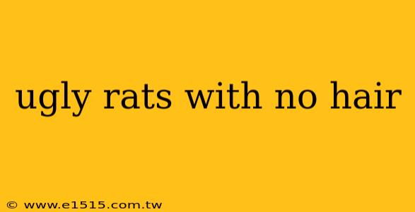 ugly rats with no hair
