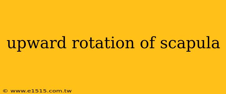 upward rotation of scapula