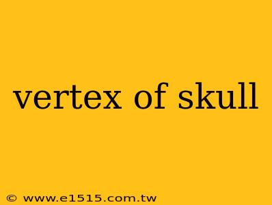 vertex of skull